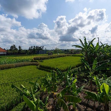Oemah Joglo Bali Vila Ubud Exterior foto