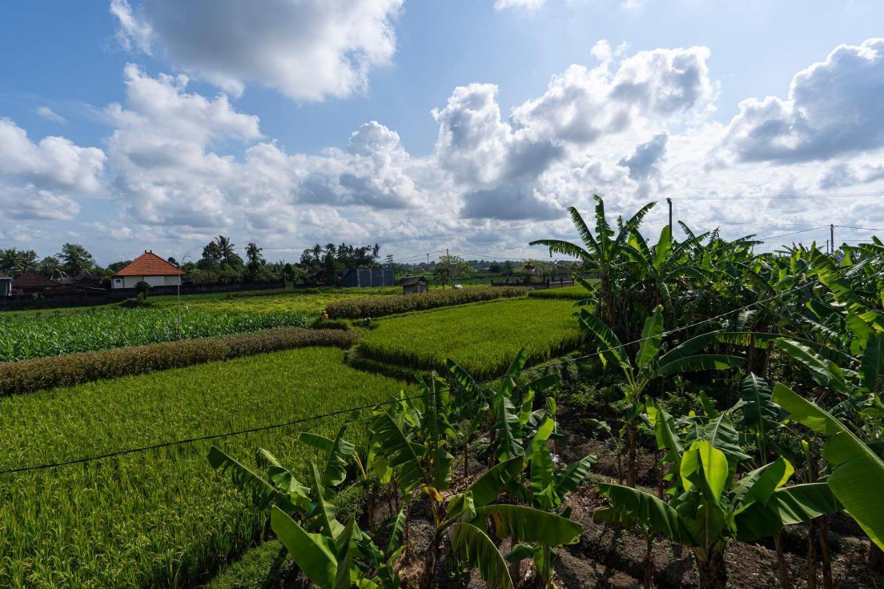 Oemah Joglo Bali Vila Ubud Exterior foto