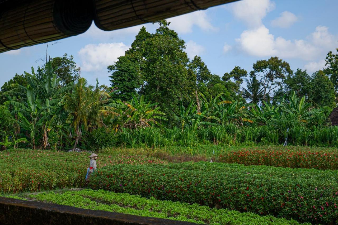 Oemah Joglo Bali Vila Ubud Exterior foto